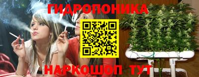 Альфа ПВП Пыть-Ях