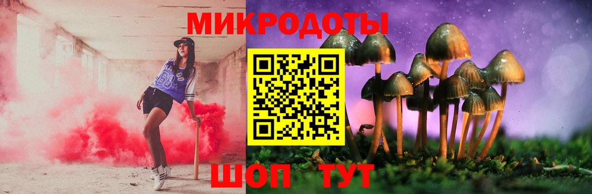 Псилоцибиновые грибы GOLDEN TEACHER Тихорецк